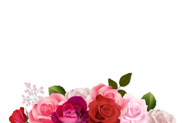 realistic roses border illustration