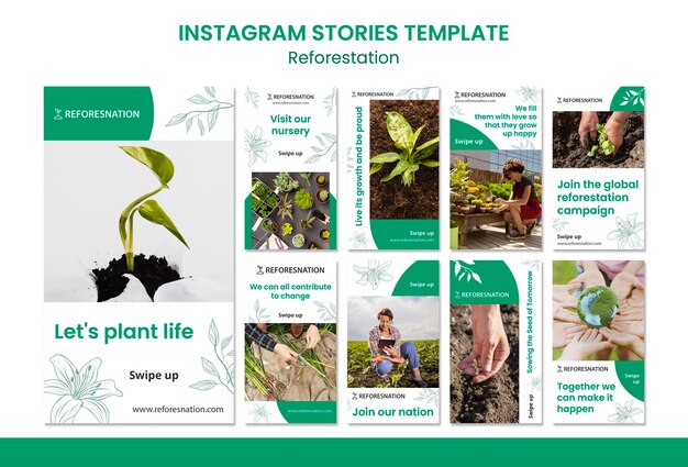 Reforestation instagram stories template