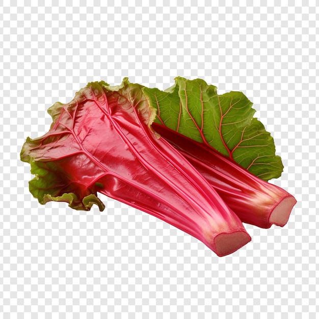 Rhubarb isolated on transparent background