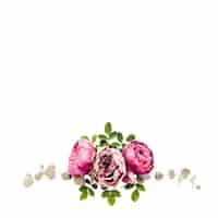 Free PSD rose flower elements isolated