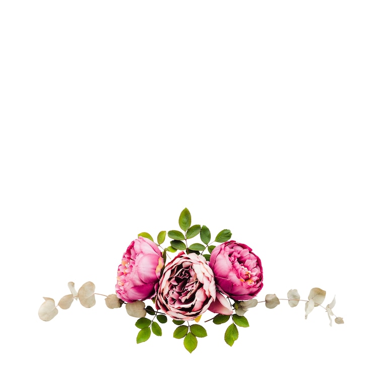 Free PSD rose flower elements isolated