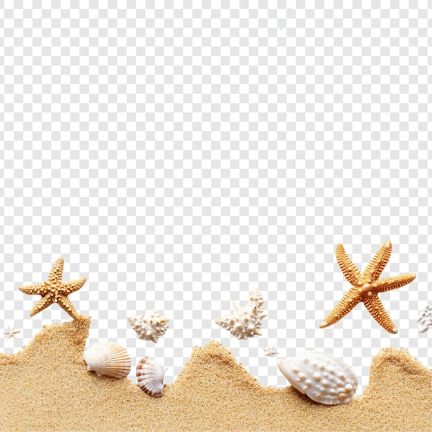 サンディ・ビーチの夏休みの貝と海星