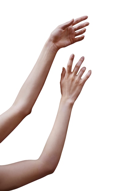 Free PSD sensitive hands isolated