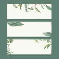 Free PSD set of botanical background designs