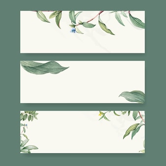 Set of botanical background designs