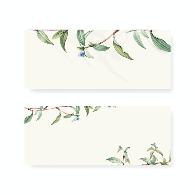 Free PSD set of botanical background designs