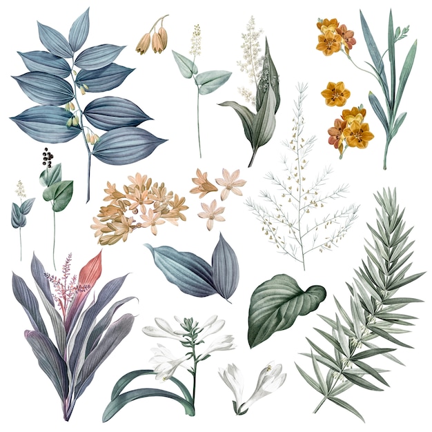 花と植物のイラストのセット