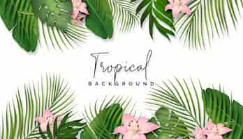 Free PSD set of tropical leaves background