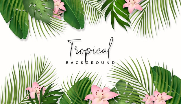 Set of tropical leaves background