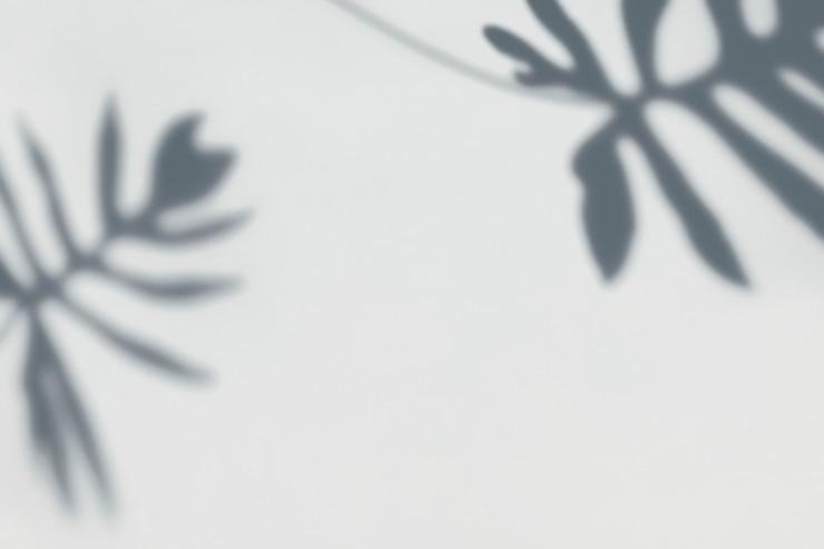 Free PSD shadow of leaves on a wall
