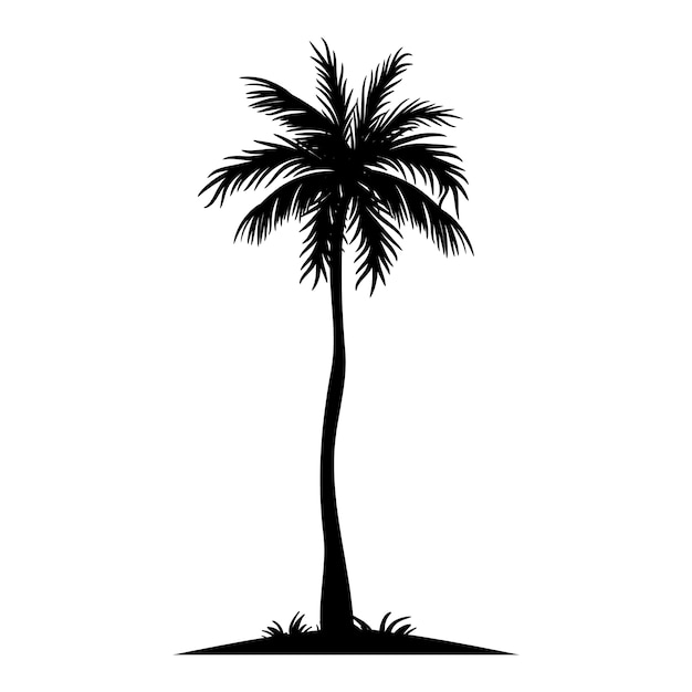 パームのシルエットのイラスト