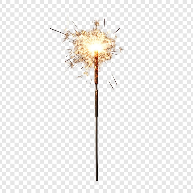 단 하나의 불타는 반이는 투명한 배경에 고립