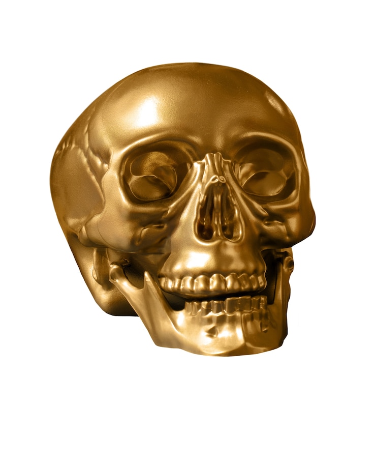 Free PSD skull object isolated
