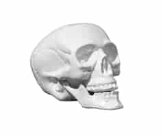 Free PSD skull object isolated