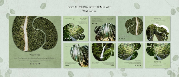 Social media post template with wild nature