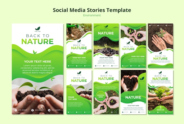 PSD gratuito modello di storie sui social media della natura