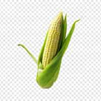 Free PSD a solitary baby corn isolated on transparent background