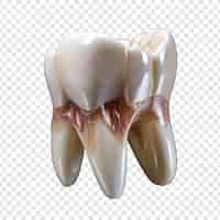 PSD gratuito un dente dolorante in mezzo a denti sani isolati su uno sfondo trasparente