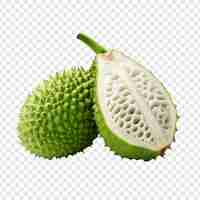 Free PSD soursop fruit isolated on transparent background