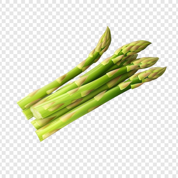 PSD gratuito asparagi spargel isolati su sfondo trasparente