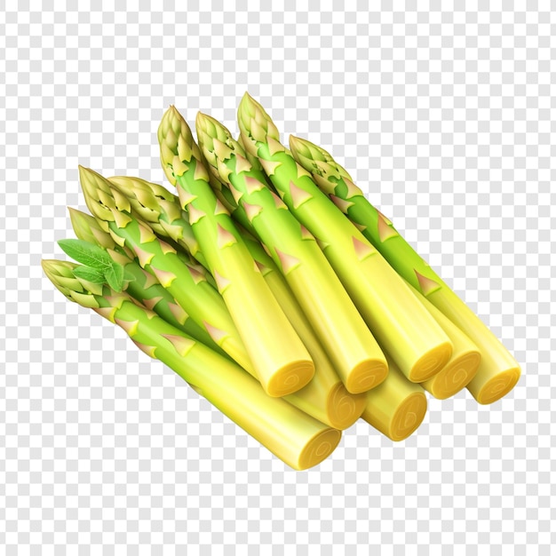 PSD gratuito asparagi spargel isolati su sfondo trasparente