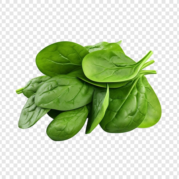 Free PSD spinach isolated on transparent background