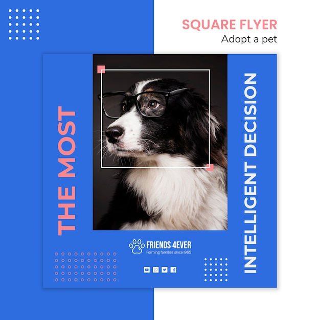 Free PSD square flyer template for adopting a pet with dog