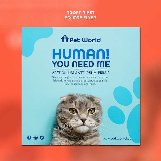 PSD gratuito modello di volantino quadrato per adozione animale domestico con gatto