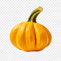 Free PSD squash isolated on transparent background