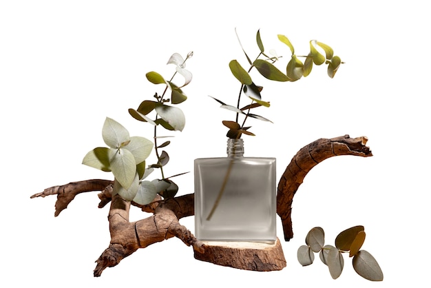 Free PSD still life of herbalist arrangement