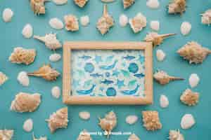 Free PSD summer concept with frame and mollusks