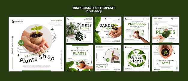 Taking care of plants instagram posts