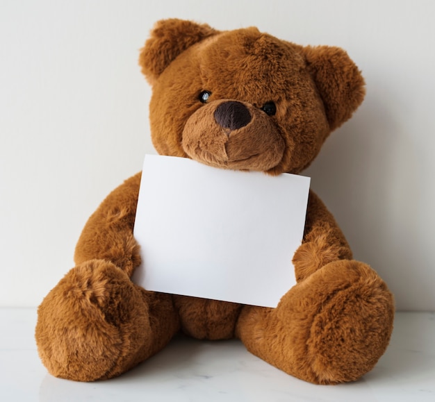 teddy holding paper