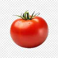 Free PSD tomato fruit isolated on transparent background