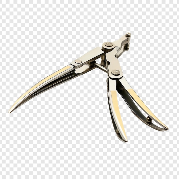 Free PSD tongs isolated on transparent background