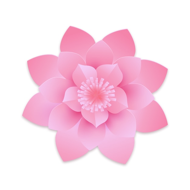 Free PSD top view cute pink flower