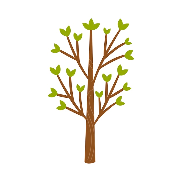 trees illustration isolated