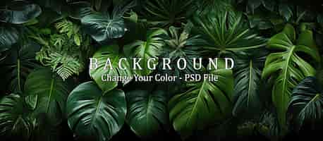 Free PSD tropical leaves background dark green monstera leaves texture
