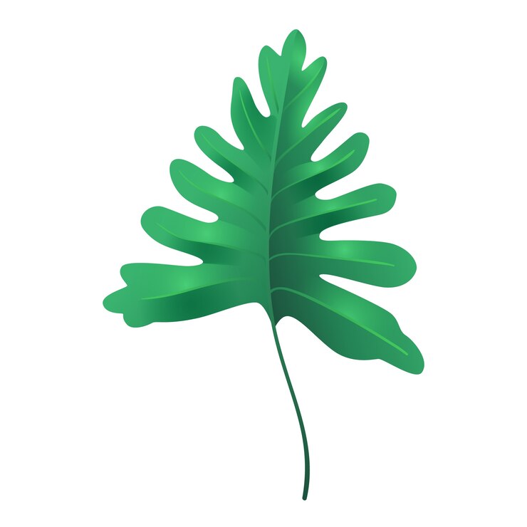 Free PSD tropical palm tree leaves isolated