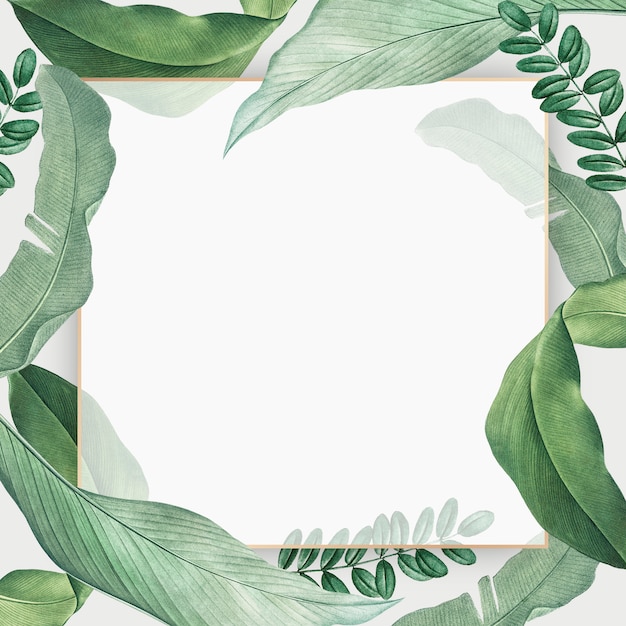 tropical paradise card