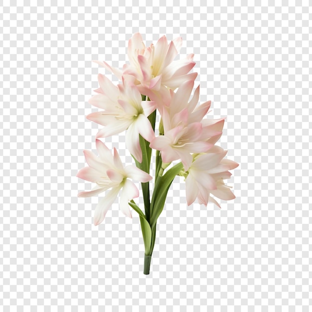 無料PSD 透明な背景に分離された<unk>色の花 png