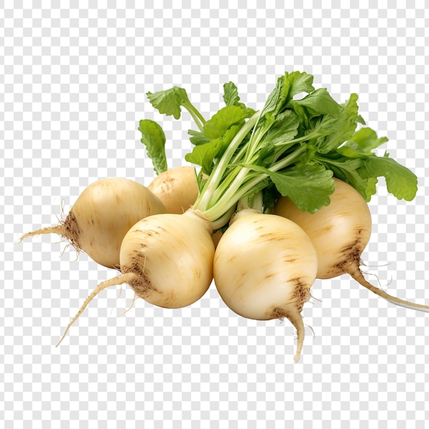 Free PSD turnips isolated on transparent background