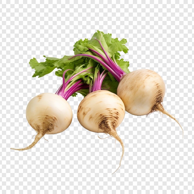 Free PSD turnips isolated on transparent background