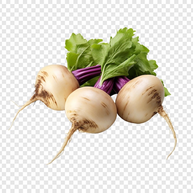 Free PSD turnips isolated on transparent background