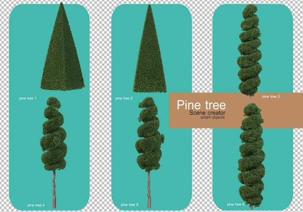 Various forms of pine trees rendering