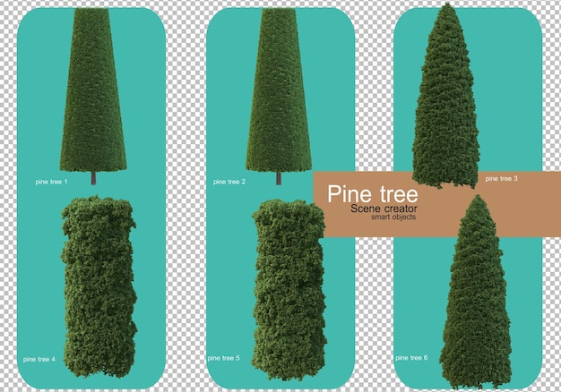 Various forms of pine trees rendering
