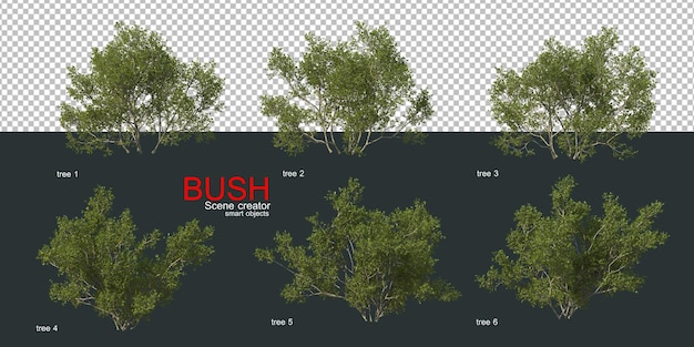 Various types of bushes