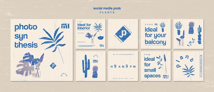 Free PSD various types of indoor plants social media post