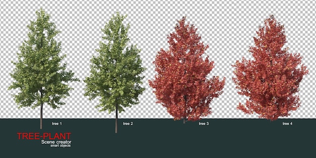 다양한 종류의 나무