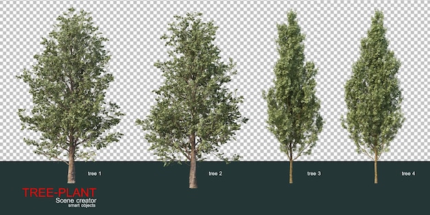 Various types of trees